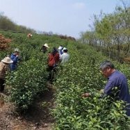 企业相册